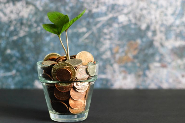 a small plant in a glass jar