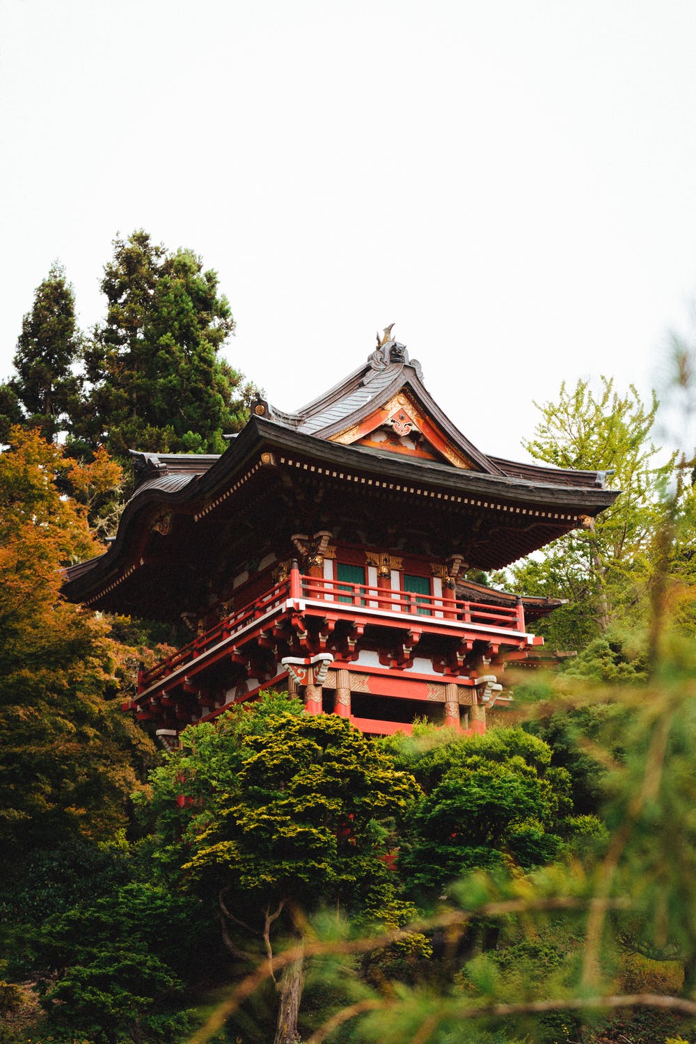 a pagoda in the forest